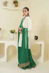 1 Piece Chiffon Dupatta (FZ0905)